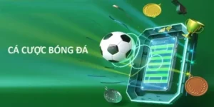 Tìm Hiểu Cá Độ Bóng Đá HappyLuke: Hành Trang Cho Người Mới