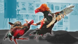 Cách Chơi Đá Gà Sabong Tại HappyLuke: Bí Kíp Chiến Thắng Lớn