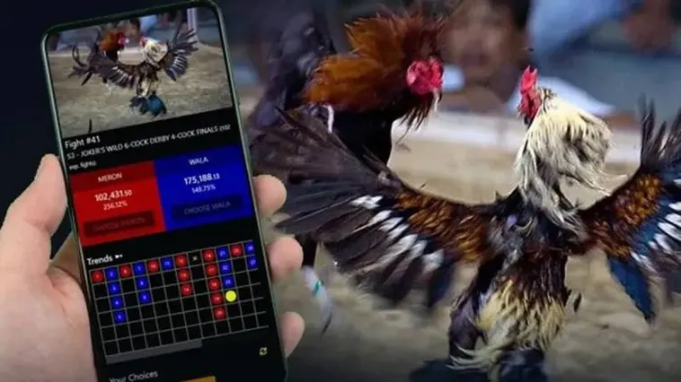 Đá Gà HappyLuke: Trải Nghiệm Cá Cược Đỉnh Cao Hấp Dẫn Nhất